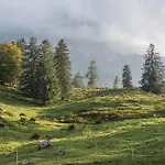 Apartman Aschaubichl - Enzian