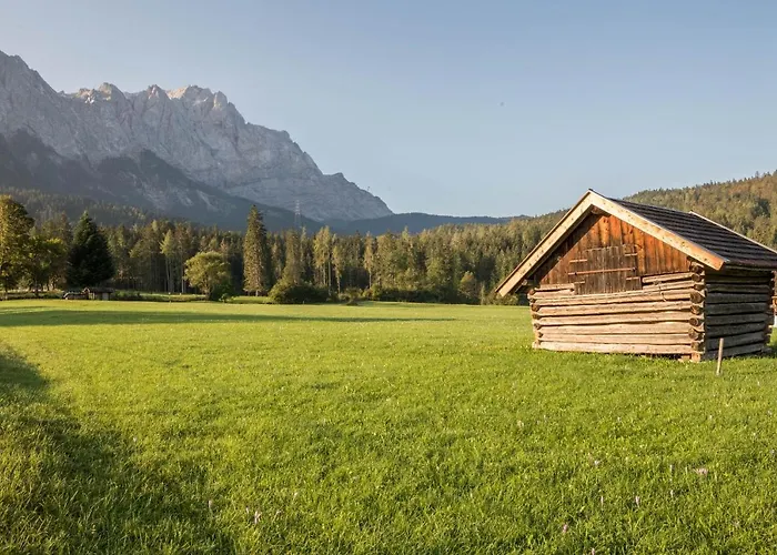 Aschaubichl - Enzian